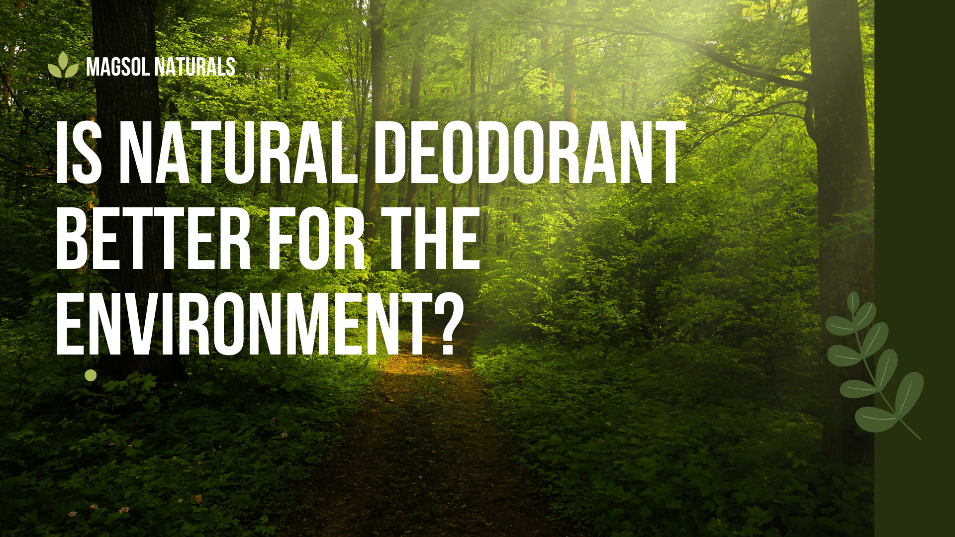 Is Natural Deodorant Better for the Environment?